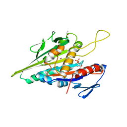 Molmil generated image of 1bg2