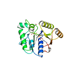 Molmil generated image of 1bs1