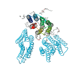 Molmil generated image of 1c8r