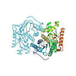 Molmil generated image of 1civ