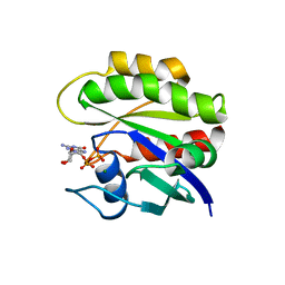 Molmil generated image of 1crp