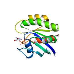 Molmil generated image of 1crq