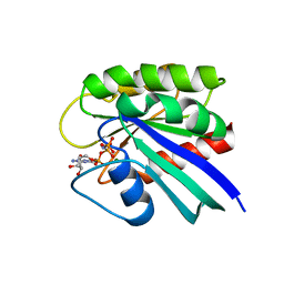 Molmil generated image of 1ctq