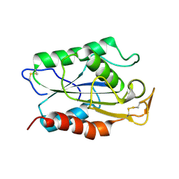 Molmil generated image of 1cus