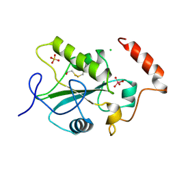 Molmil generated image of 1cws