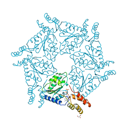 Molmil generated image of 1d2n