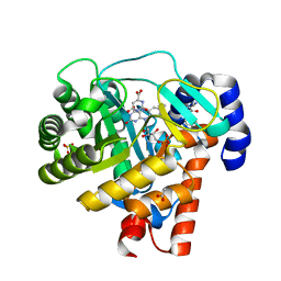 Molmil generated image of 1d3h