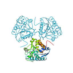Molmil generated image of 1d3v