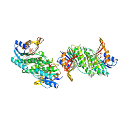 Molmil generated image of 1dir