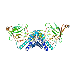 Molmil generated image of 1dlm