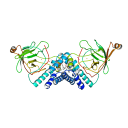 Molmil generated image of 1dlq