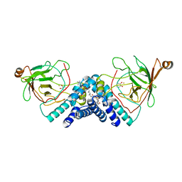 Molmil generated image of 1dlt