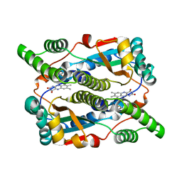 Molmil generated image of 1ds7