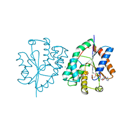 Molmil generated image of 1e2f