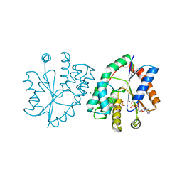 Molmil generated image of 1e2g