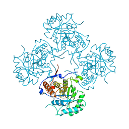 Molmil generated image of 1eep