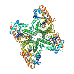 Molmil generated image of 1ex5