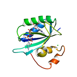 Molmil generated image of 1ex8