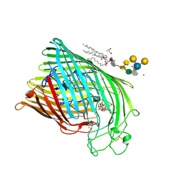 Molmil generated image of 1fcp
