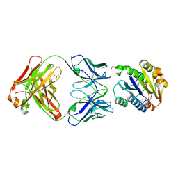 Molmil generated image of 1fe8