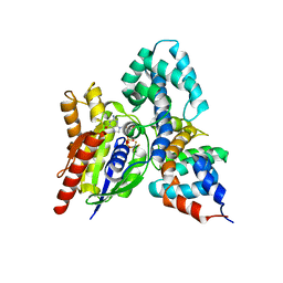 Molmil generated image of 1fqk