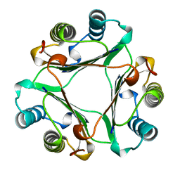 Molmil generated image of 1gif