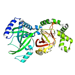 Molmil generated image of 1gir