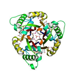 Molmil generated image of 1gx1