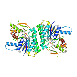 Molmil generated image of 1gy8
