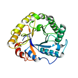 Molmil generated image of 1h1n