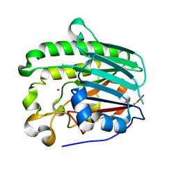 Molmil generated image of 1hd7