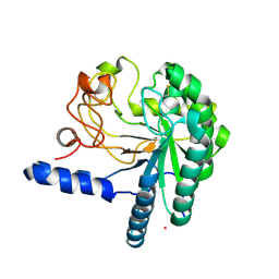 Molmil generated image of 1hgw