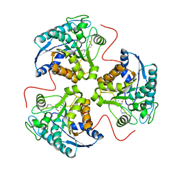 Molmil generated image of 1hqh