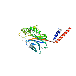 Molmil generated image of 1i9y