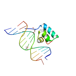 Molmil generated image of 1ijw