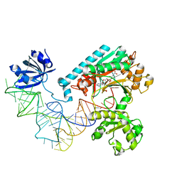 Molmil generated image of 1il2
