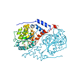 Molmil generated image of 1jh8