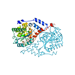 Molmil generated image of 1jhq