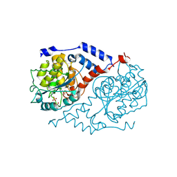 Molmil generated image of 1jhu