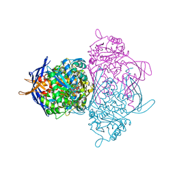 Molmil generated image of 1jki