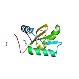 Molmil generated image of 1jo0