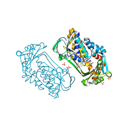 Molmil generated image of 1k0i