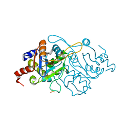 Molmil generated image of 1k4o