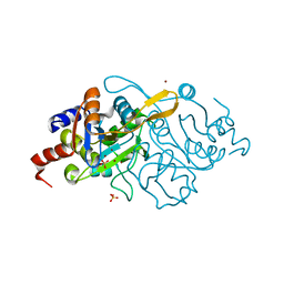 Molmil generated image of 1k4p