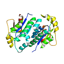 Molmil generated image of 1ko1