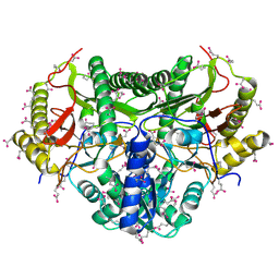 Molmil generated image of 1kp0
