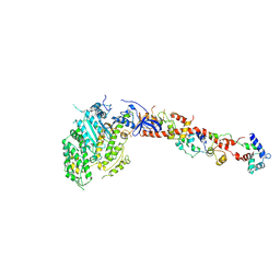 Molmil generated image of 1kqm