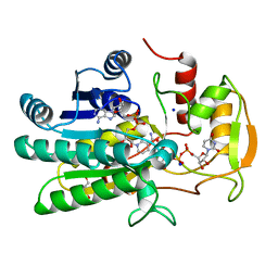 Molmil generated image of 1kvs