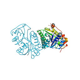 Molmil generated image of 1kvt