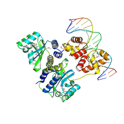Molmil generated image of 1l3l